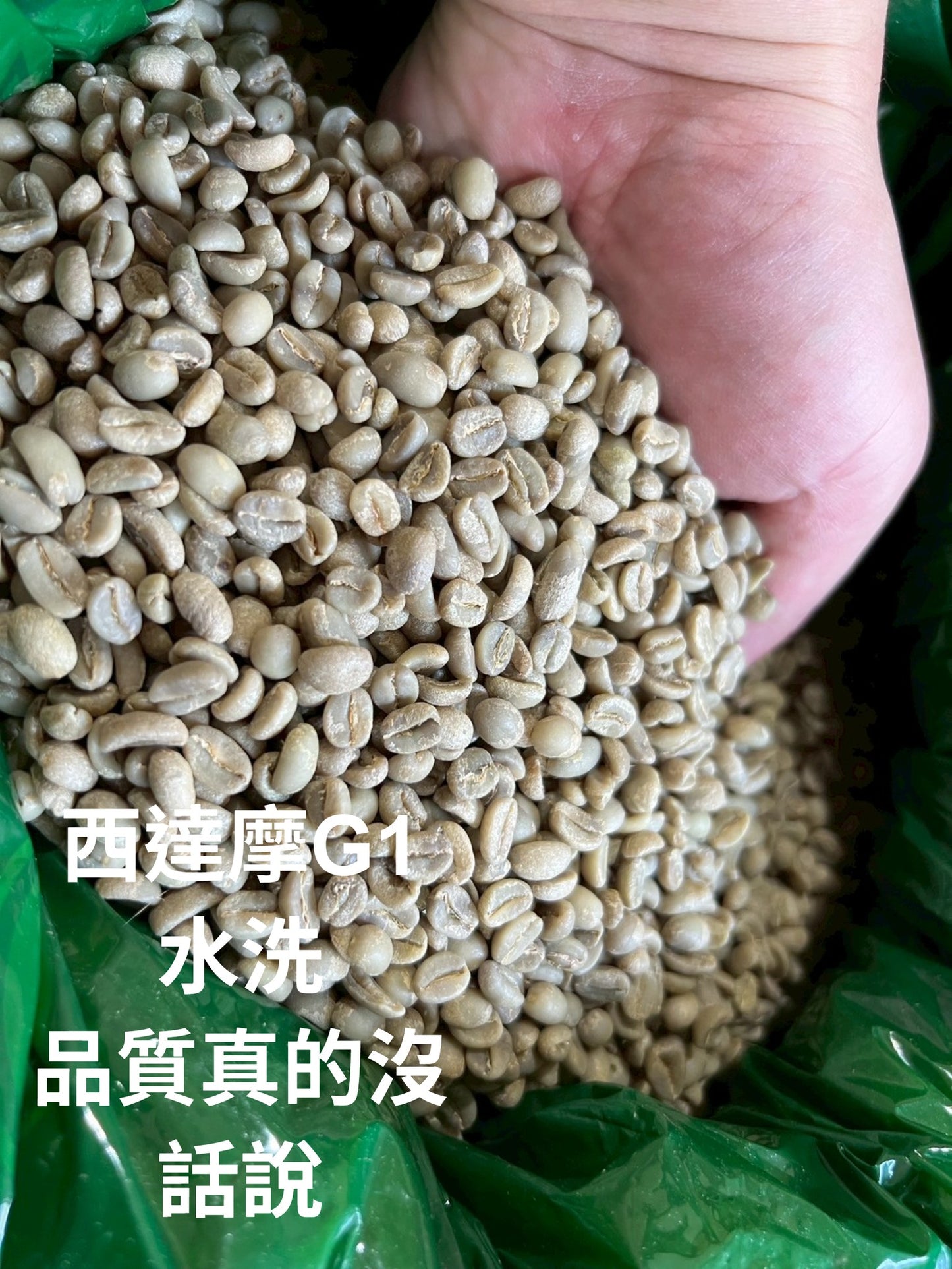 【搶先貨】衣索比亞-西達摩 水洗G1咖啡生豆 趕緊加Line 洽詢: philip07212