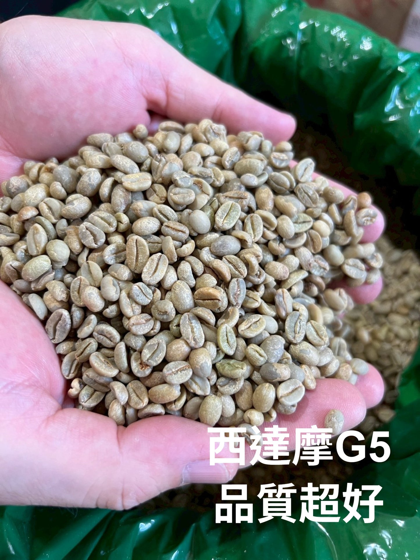 【搶先貨】衣索比亞-西達摩 特優級 G5日曬生豆-歡迎加LINE: philip07212