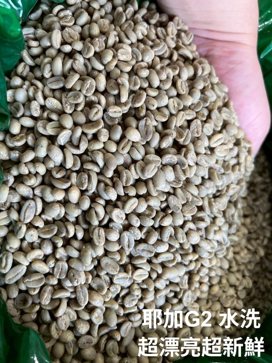 【搶先貨】衣索比亞-耶加G2 水洗咖啡生豆 (趕緊洽詢) 歡迎加line:philip07212